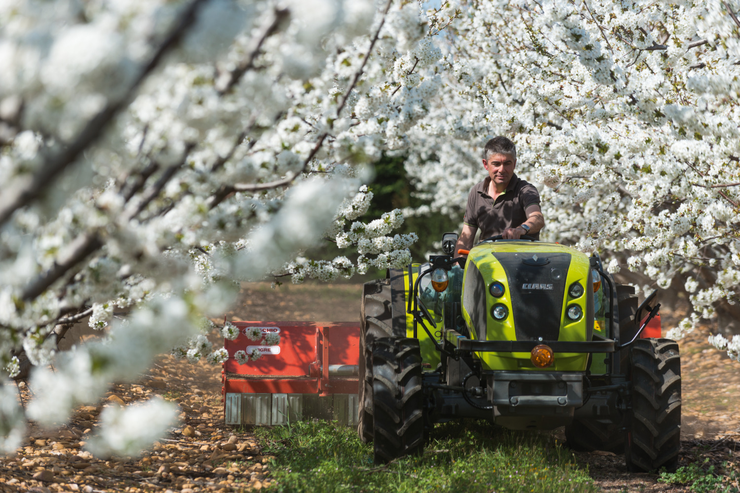 Трактор CLAAS NEXOS