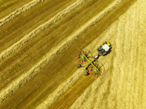 Валкоутворювач CLAAS LINER