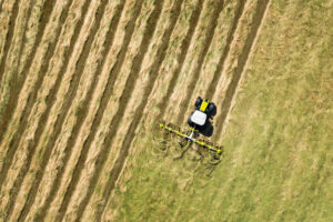 Кормозаготівля