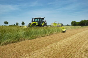 Кормозаготівля