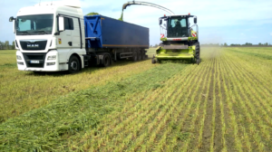 Демо CLAAS JAGUAR 870 на Черкащині