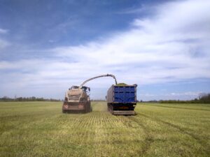 Демо CLAAS JAGUAR 870 на Черкащині